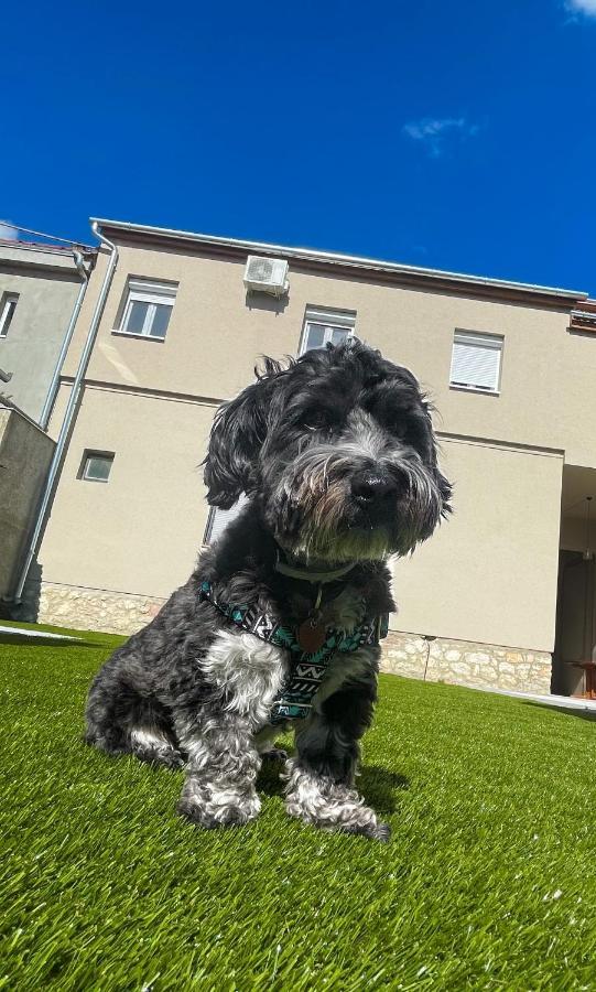 Holiday Apartmanház Harkány Kültér fotó