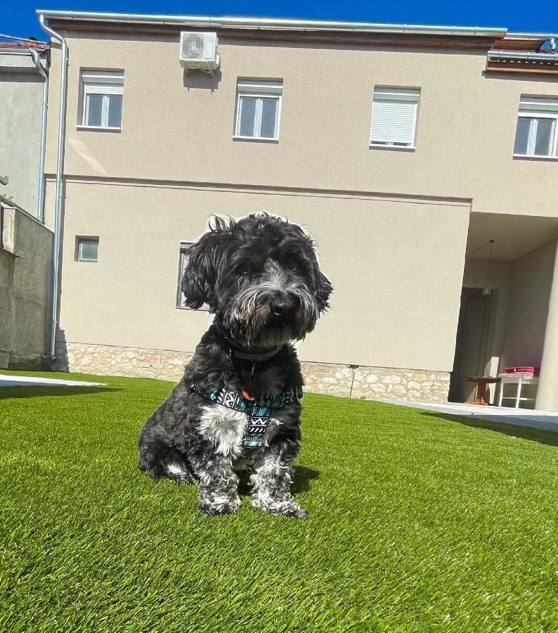 Holiday Apartmanház Harkány Kültér fotó